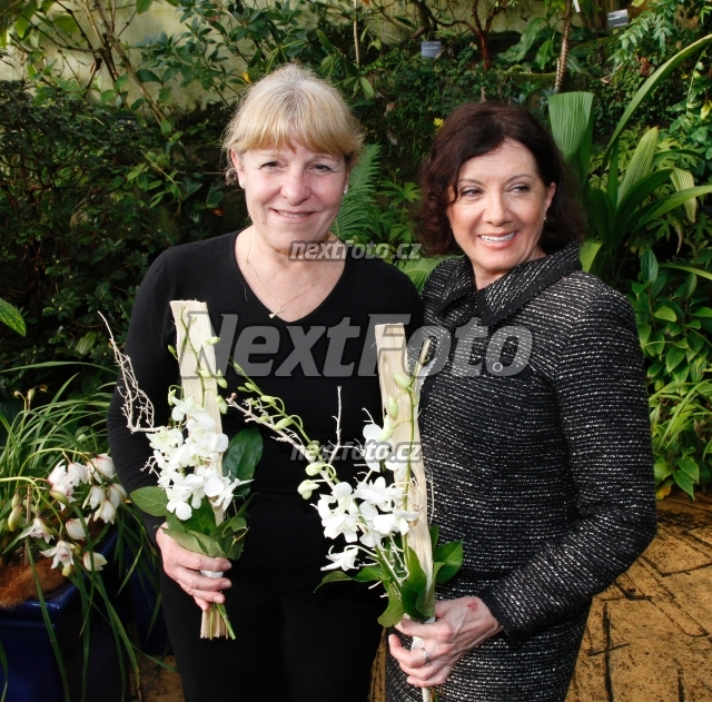 7119 Marie Rottrova