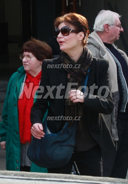 8785 Simona Postlerova