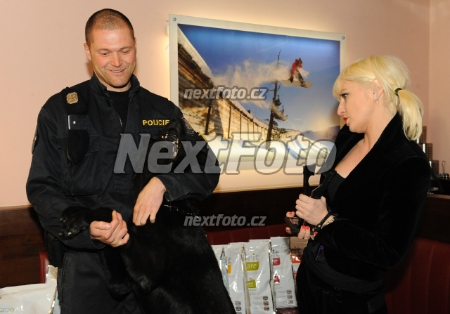 4186 Bara Nesvadbova