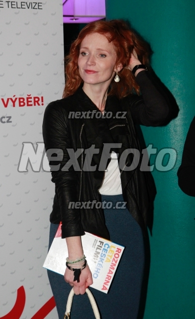 8081 Ana Geislerova