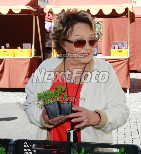 9087 Jirina Bohdalova