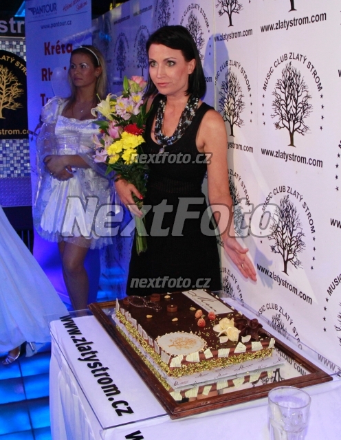 2993 Gabina Partysova