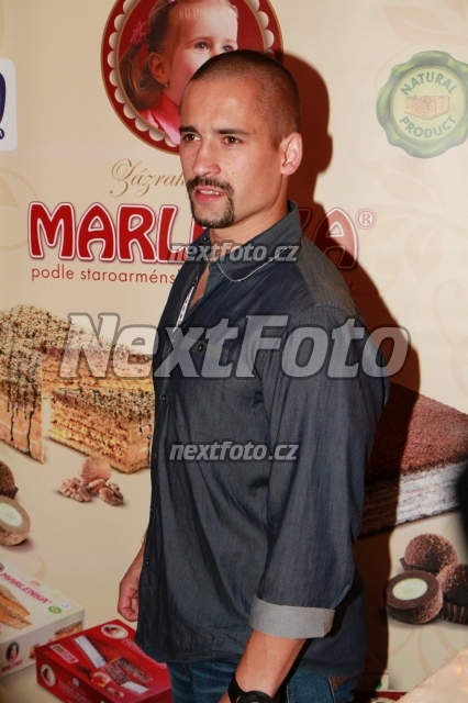 4096 Tomas Plekanec