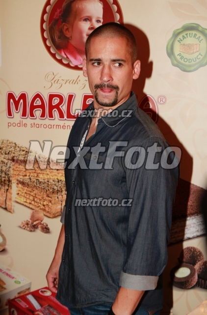 4098 Tomas Plekanec