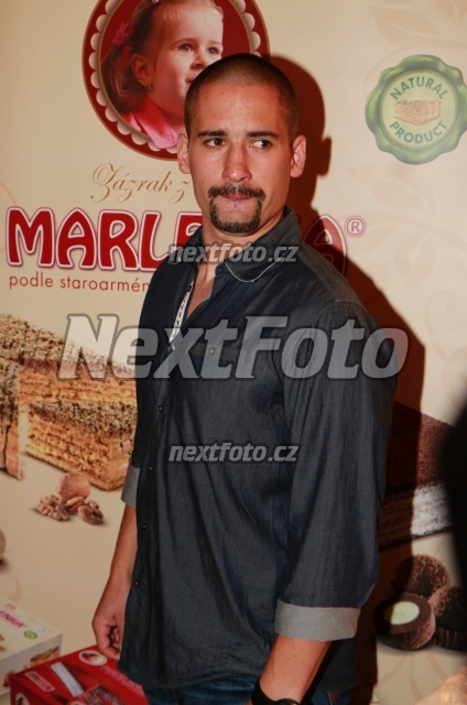 4099 Tomas Plekanec