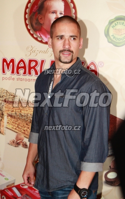 4101 Tomas Plekanec