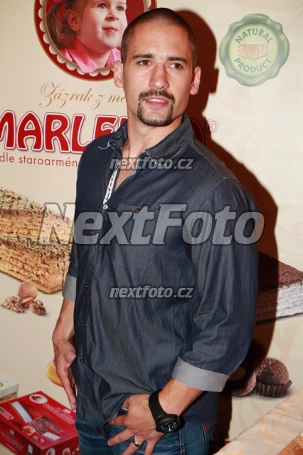 4103 Tomas Plekanec