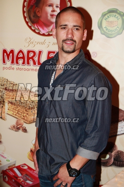 4104 Tomas Plekanec