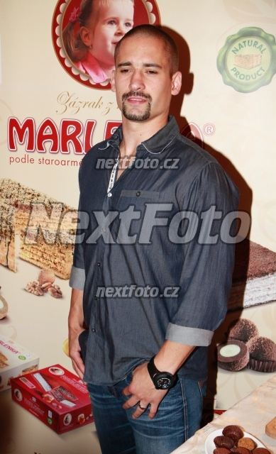 4106 Tomas Plekanec