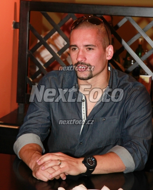 4231 Tomas Plekanec