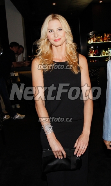 3928 Ivana Gottova