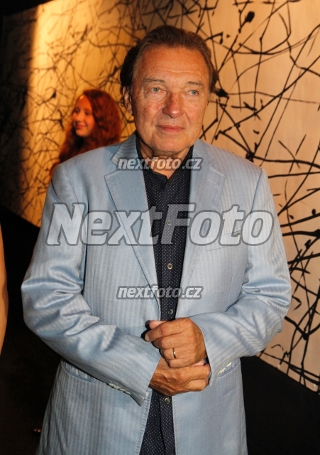 3953 Karel Gott