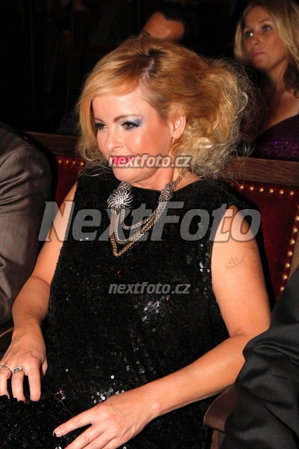 4463 Iveta Bartosova