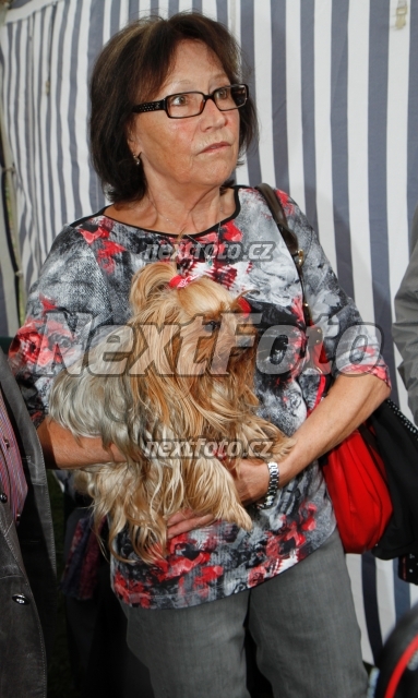 9153 Marta Kubisova