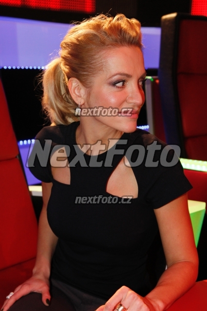 9963 Dara Rolins